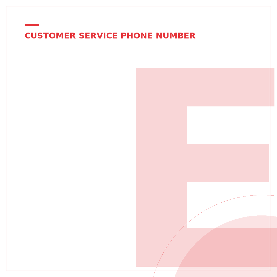 eBay Customer Service Phone Number Live Person: 3 Direct Methods