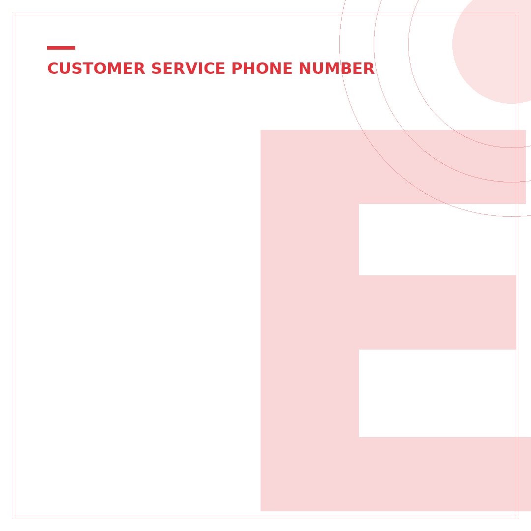 eBay Customer Service Phone Number Live Person USA: Direct Connect Guide