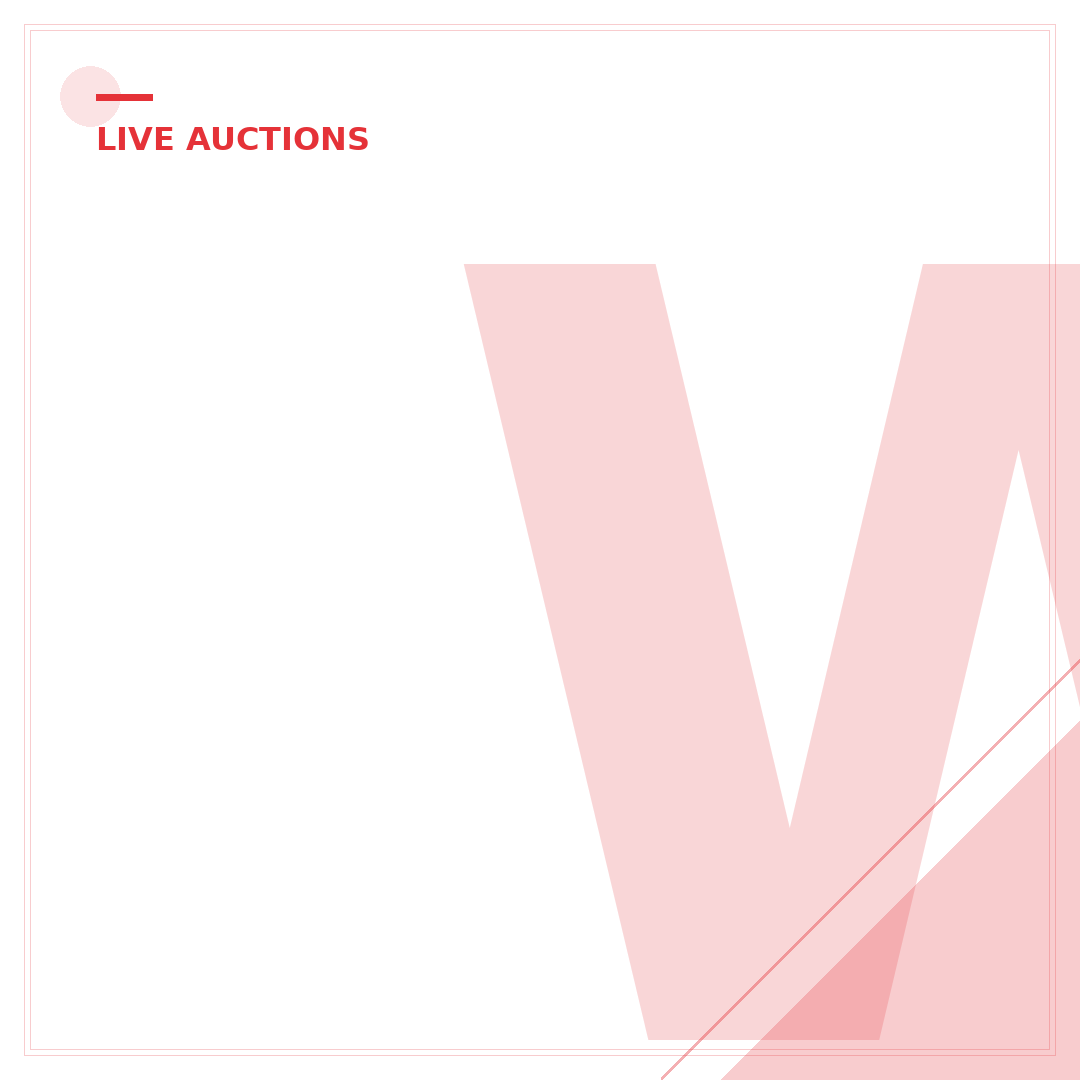 What Happened to eBay Live Auctions? 2024's Essential Guide