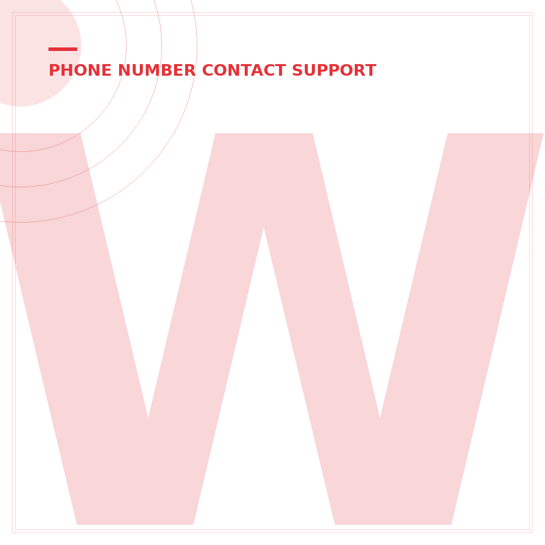 What Is the eBay Phone Number? Get Direct Support Fast