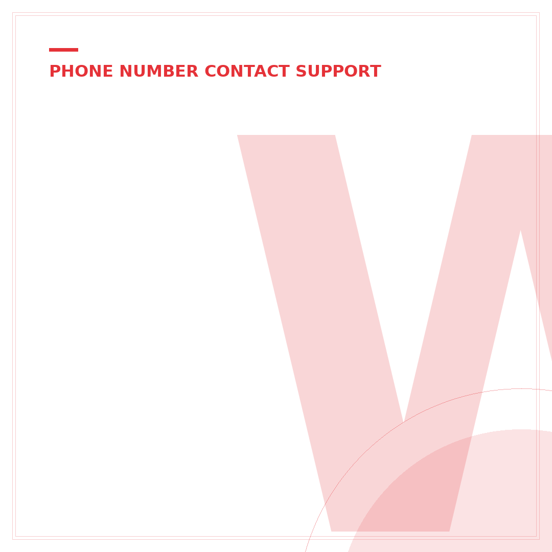 What is the 1-800 eBay Phone Number? Direct Support Line Explained