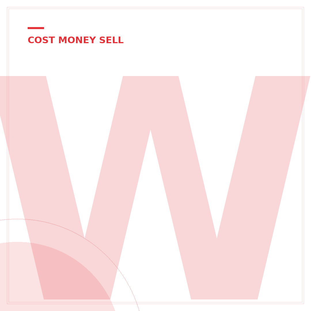 What Can I Sell on eBay to Make Money Fast? 5 Quick-Start Niches