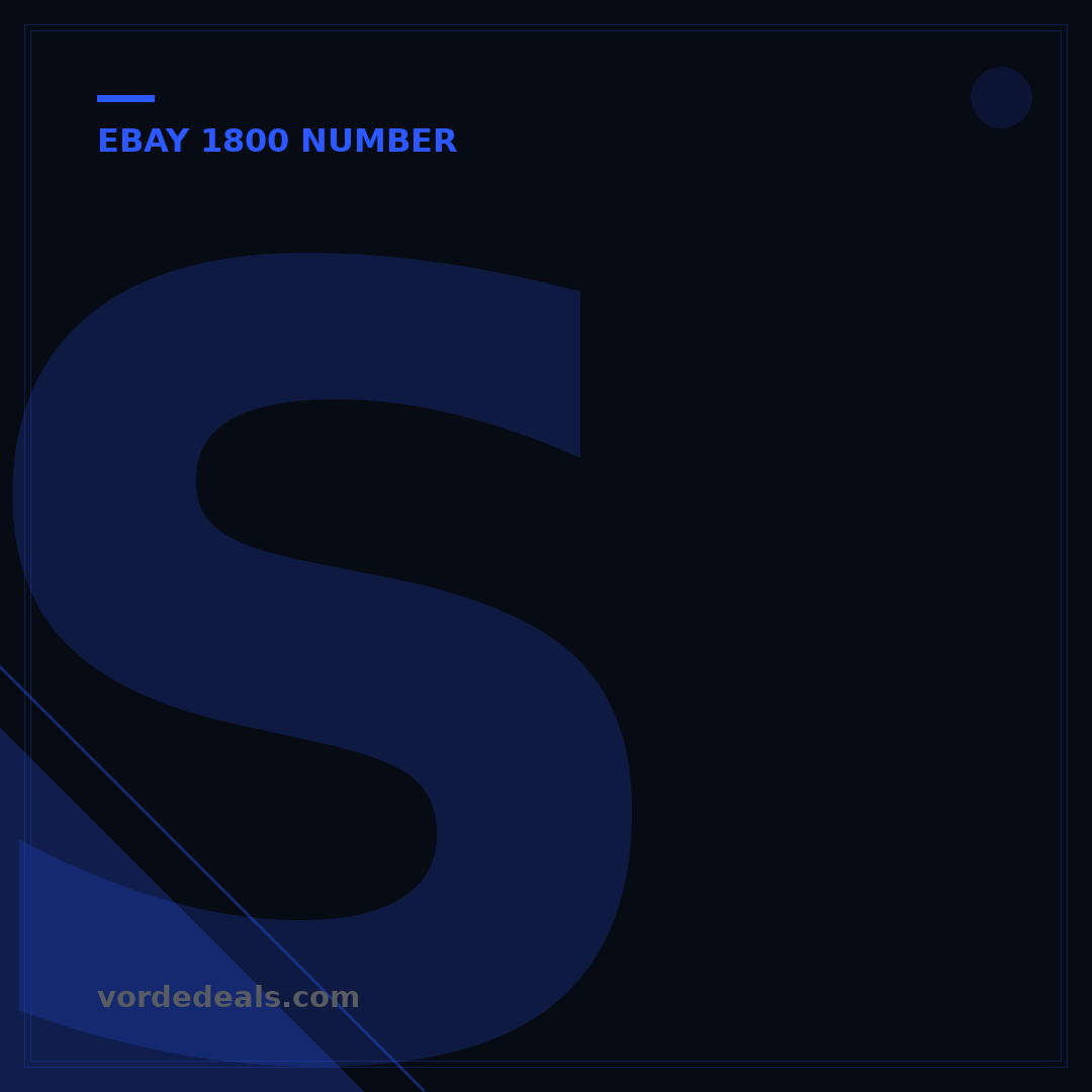 Should You Show Serial Numbers on eBay? 5 Key Risks & Benefits