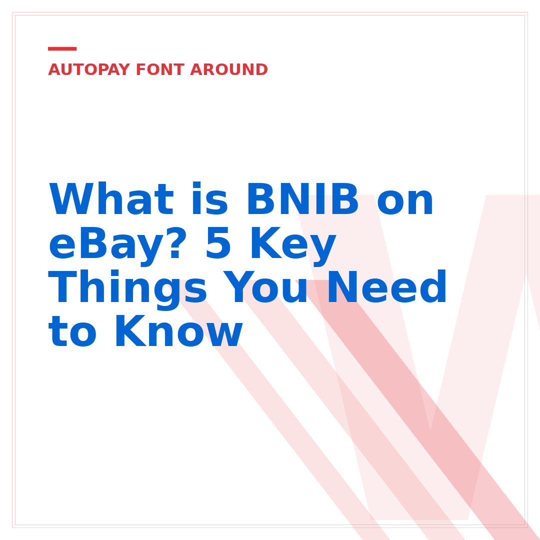 What is BNIB on eBay? 5 Key Things You Need to Know