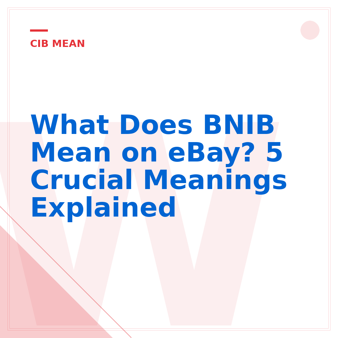 What Does BNIB Mean on eBay? 5 Crucial Meanings Explained
