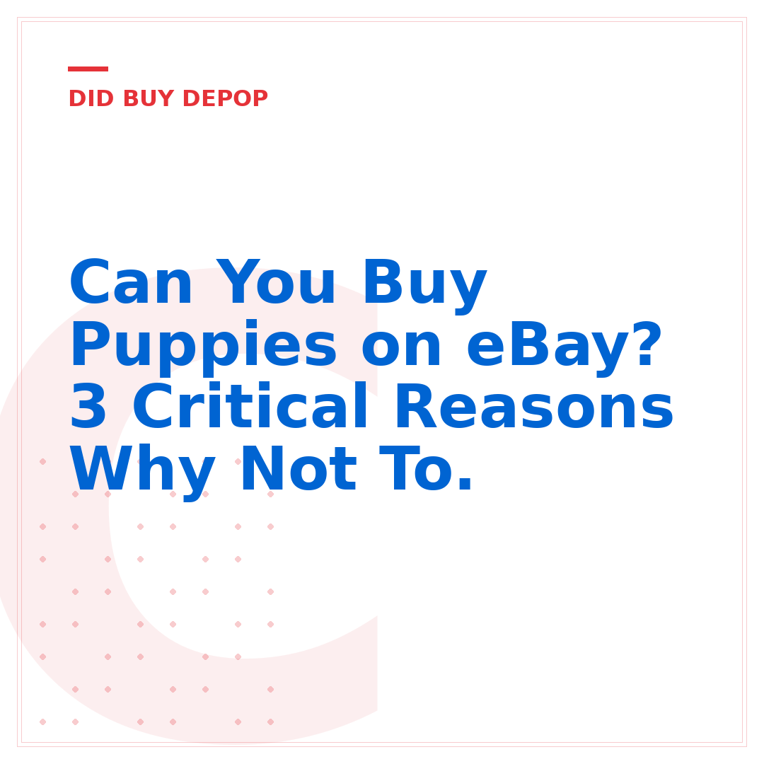 Can You Buy Puppies on eBay? 3 Critical Reasons Why Not To.