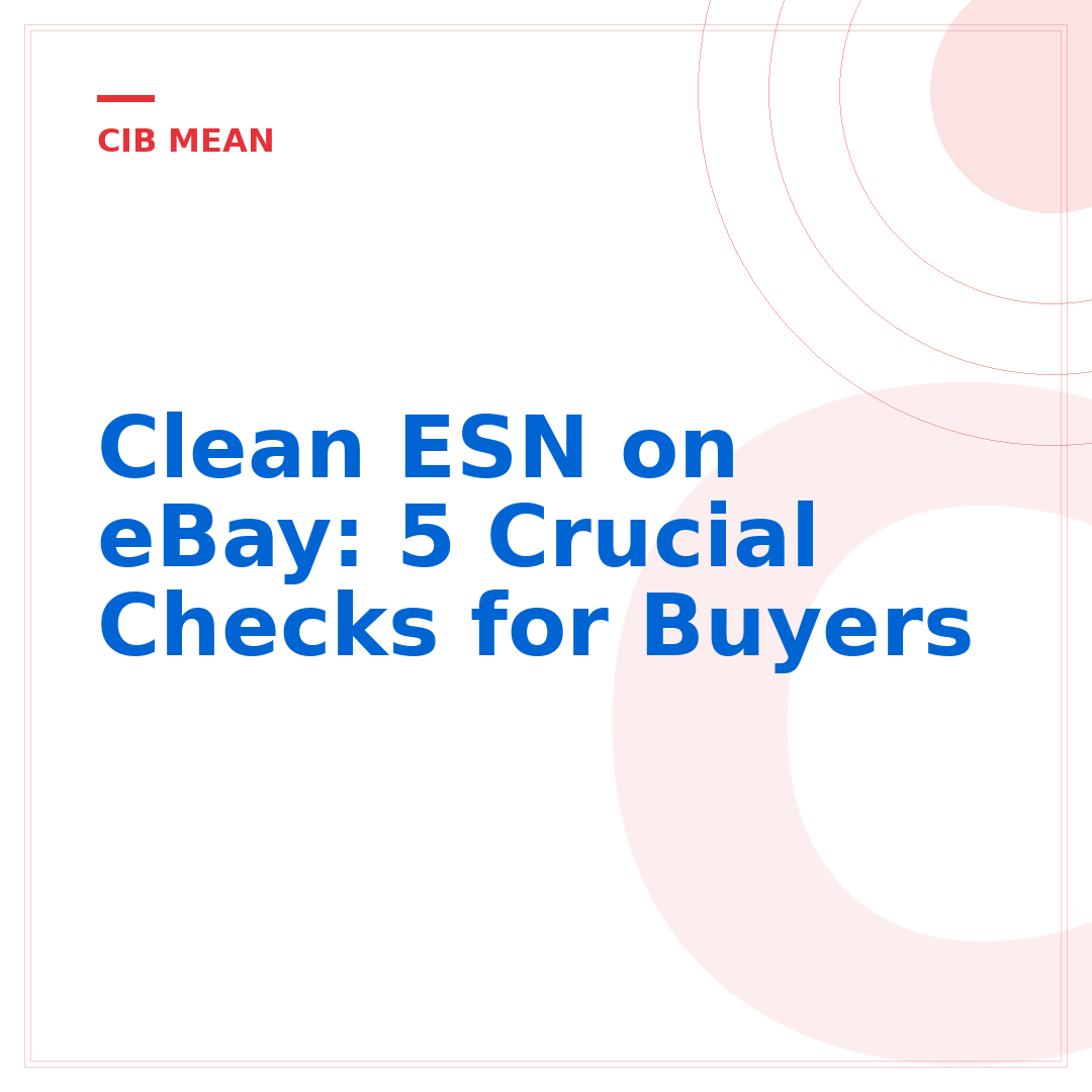 Clean ESN on eBay: 5 Crucial Checks for Buyers
