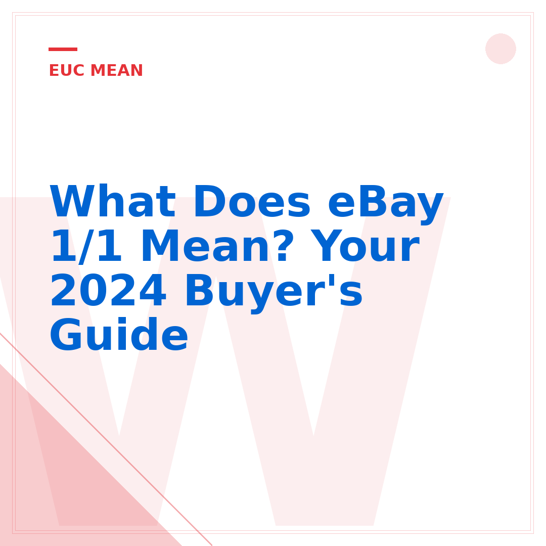 What Does eBay 1/1 Mean? Your 2024 Buyer's Guide