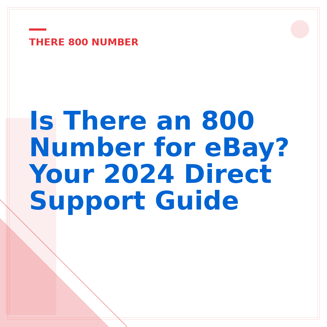 Is There an 800 Number for eBay? Your 2024 Direct Support Guide