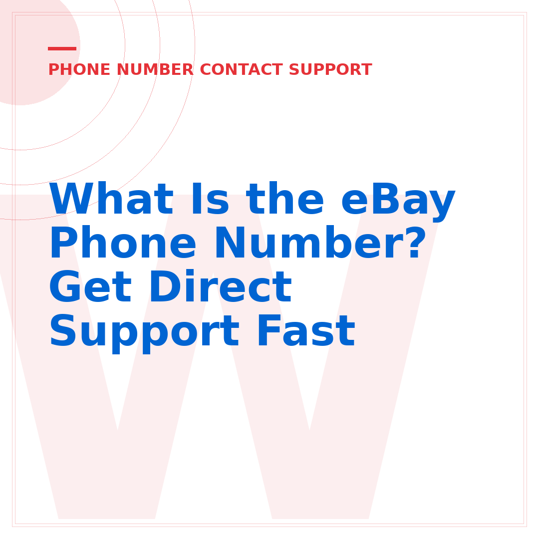 What Is the eBay Phone Number? Get Direct Support Fast