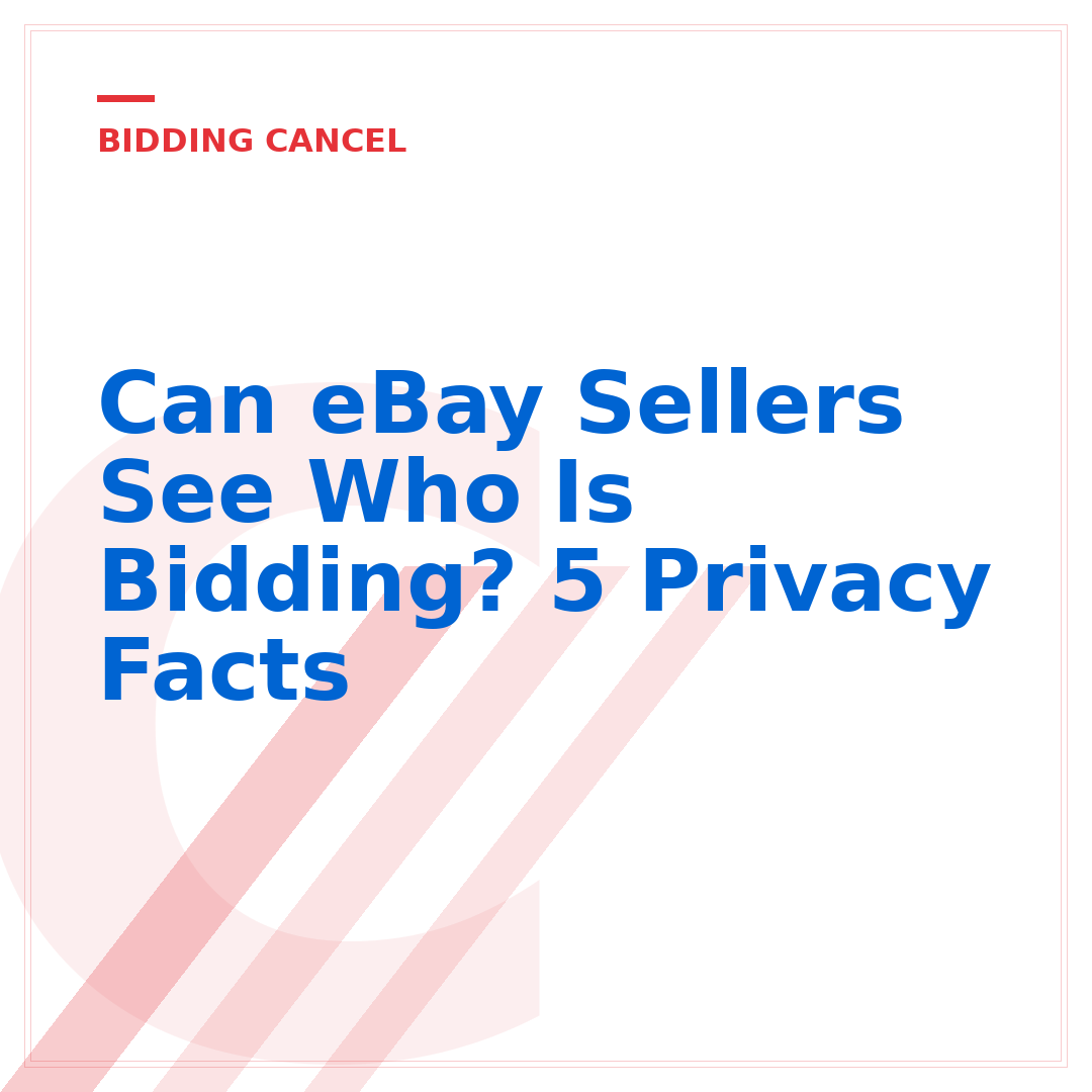 Can eBay Sellers See Who Is Bidding? 5 Privacy Facts