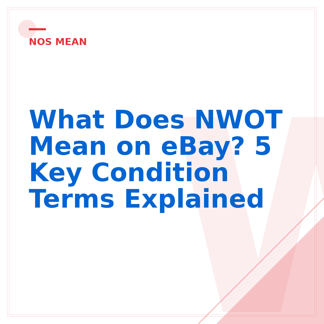 What Does NWOT Mean on eBay? 5 Key Condition Terms Explained